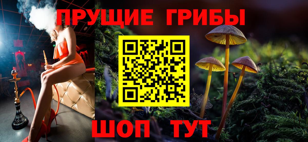 Елабуга  Галлюциногенные грибы мицелий  Псилоцибиновые грибы MAGIC MUSHROOMS  Вход с VPN 