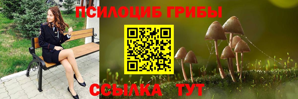 Галлюциногенные грибы ЛСД Елабуга